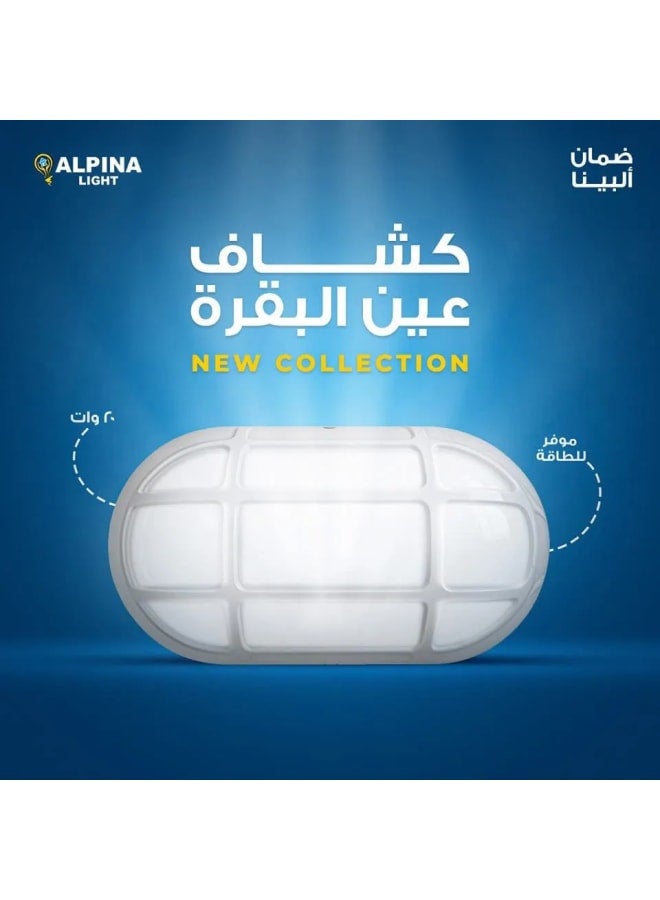 20 watt floodlight with white lighting and white net