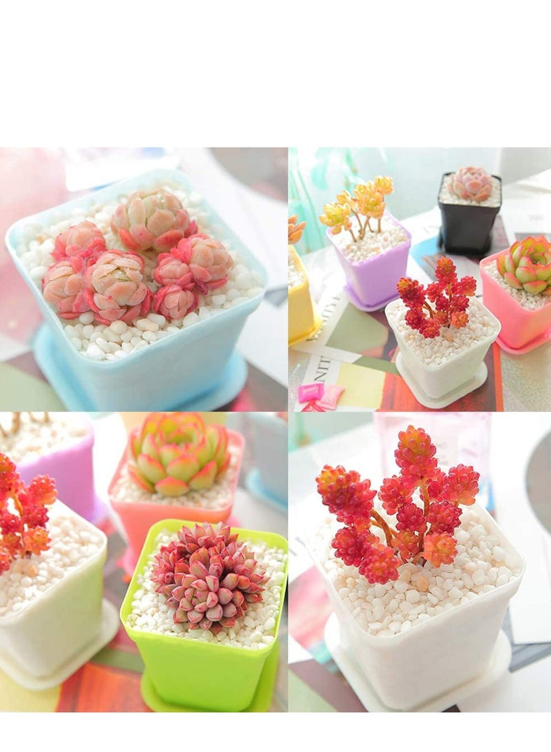 SOLARAE Plastic Plant Pots, Seedling Nursery with Saucers and 3 Mini Garden Tools, Succulent Planter Container, Room, Office, Balcony Decor, Multicolor 24 Pack 3 Inch - Image 4