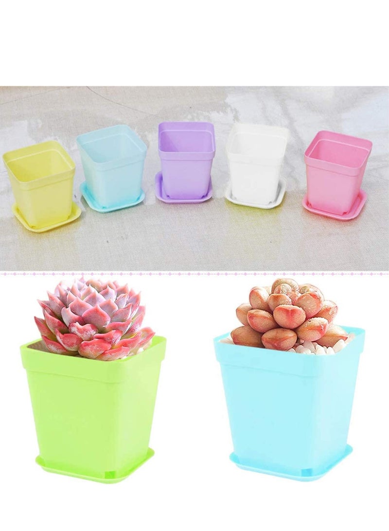 SOLARAE Plastic Plant Pots, Seedling Nursery with Saucers and 3 Mini Garden Tools, Succulent Planter Container, Room, Office, Balcony Decor, Multicolor 24 Pack 3 Inch - Image 2