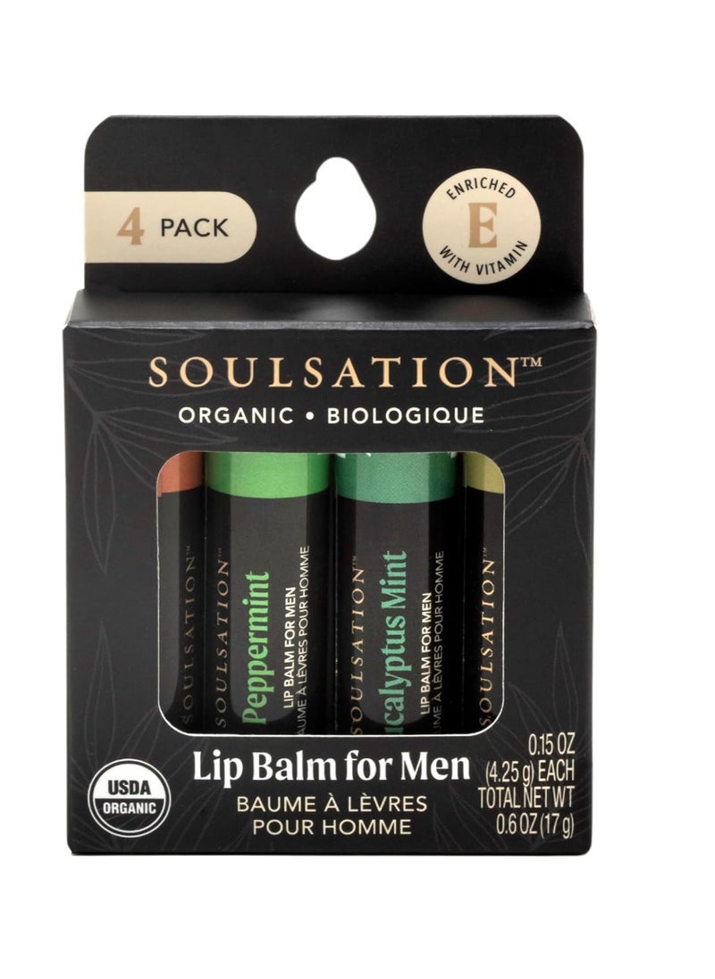 SOULSATION Organic Lip Balm Set for Men - 4 Flavors - 100% Natural Moisturizing for Cracked & Dry Lips 