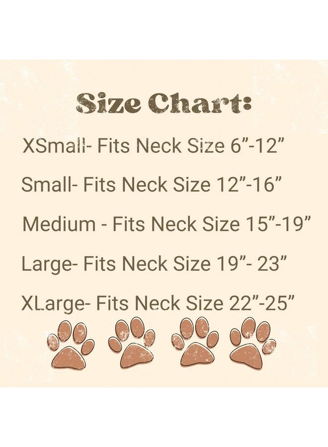 Dog Bandanas Promoted to Big Brother Pregnancy Announcement Baby Reveal Oatmeal Beige Minimal (X-Large) - Image 4