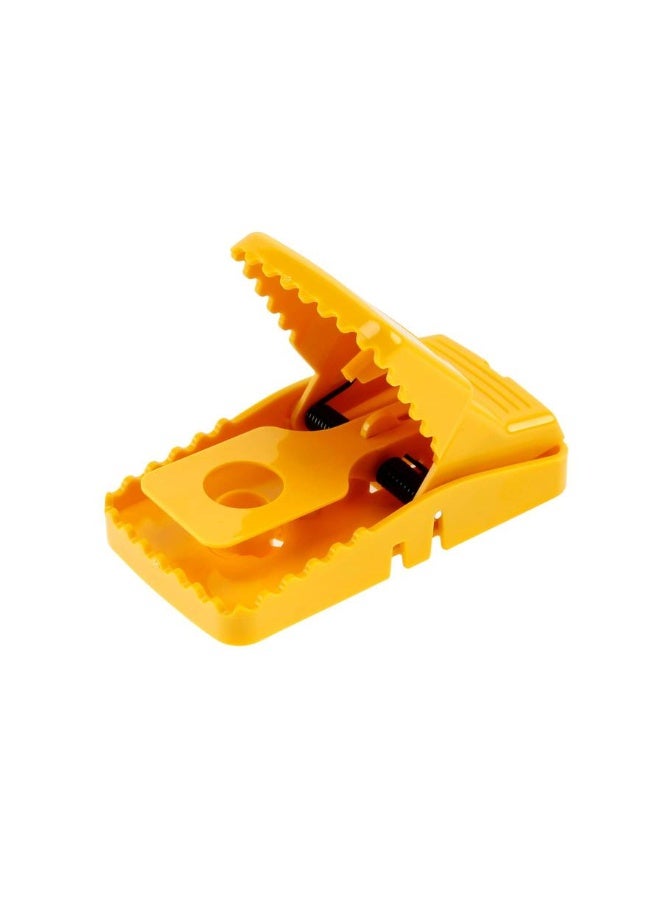 Goodbye Mouse Trap Big