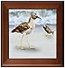 3DROSE 3dRose ft_50431_1 Least Sandpiper Birds on a Beach Framed Tile, 8 by 8-Inch  - Image 2