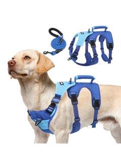 PUPTECK PUPTECK Escape Proof Dog Harness and Leash Set Upgraded No Pull Reflective Dog Vest with Lift Handle, Easy Control Pet Harness for Medium Large Dogs Training Walking Running, Blue, L  - Image 1