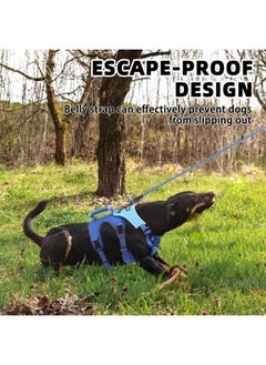 PUPTECK PUPTECK Escape Proof Dog Harness and Leash Set Upgraded No Pull Reflective Dog Vest with Lift Handle, Easy Control Pet Harness for Medium Large Dogs Training Walking Running, Blue, L  - Image 5