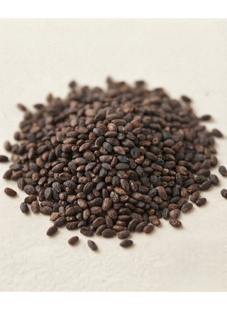 Franchi Organic Seeds - Basilitalian Classic - Image 3
