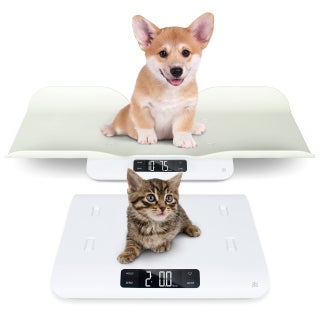 Greater Goods Digital Pet Scale, Accurately Weigh Your Kitten, Rabbit, or Puppy with a Wiggle-Proof Algorithm, Great Option as a Scale for Small Animals, Designed in St. Louis - pzsku/Z38966BBF6C274861A284Z/45/1749373054/2e84b776-1f0f-4586-b2d5-098cc1c7dc68