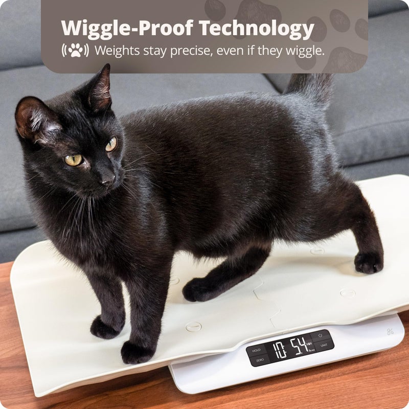 Greater Goods Digital Pet Scale, Accurately Weigh Your Kitten, Rabbit, or Puppy with a Wiggle-Proof Algorithm, Great Option as a Scale for Small Animals, Designed in St. Louis
