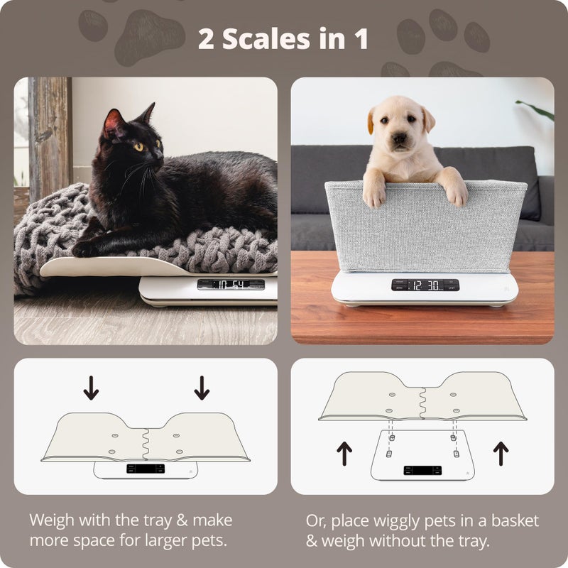 Greater Goods Digital Pet Scale, Accurately Weigh Your Kitten, Rabbit, or Puppy with a Wiggle-Proof Algorithm, Great Option as a Scale for Small Animals, Designed in St. Louis