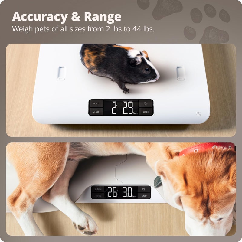Greater Goods Digital Pet Scale, Accurately Weigh Your Kitten, Rabbit, or Puppy with a Wiggle-Proof Algorithm, Great Option as a Scale for Small Animals, Designed in St. Louis