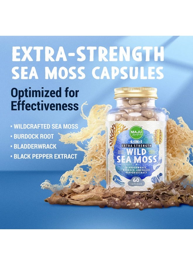 Maju Superfoods Maju 4In1 Organic Sea Moss Capsules Wild Chondrus Crispus Seamoss W/ Bladderwrack + Burdock Root Stronger Than Gel Irish Sebi Inspired Raw Powder In Pills 500 Mg Capsule (60 Ct)  - Image 3