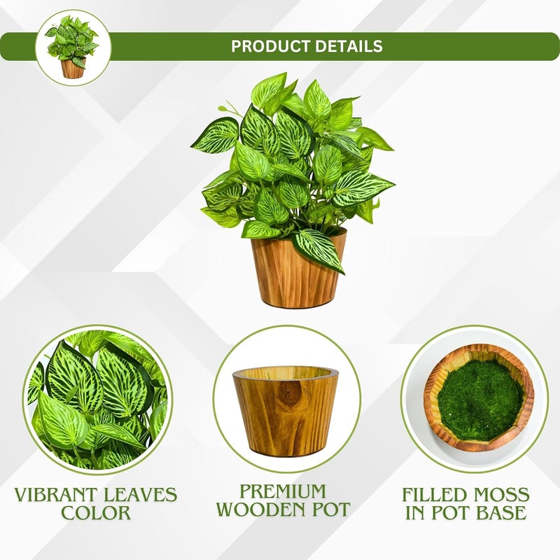 fancymart Artificial Plant Leaves in Wooden Pot Perfect Potted Decoration for Home Living Room & Office Spaces Décor Height - 26cm - Image 3