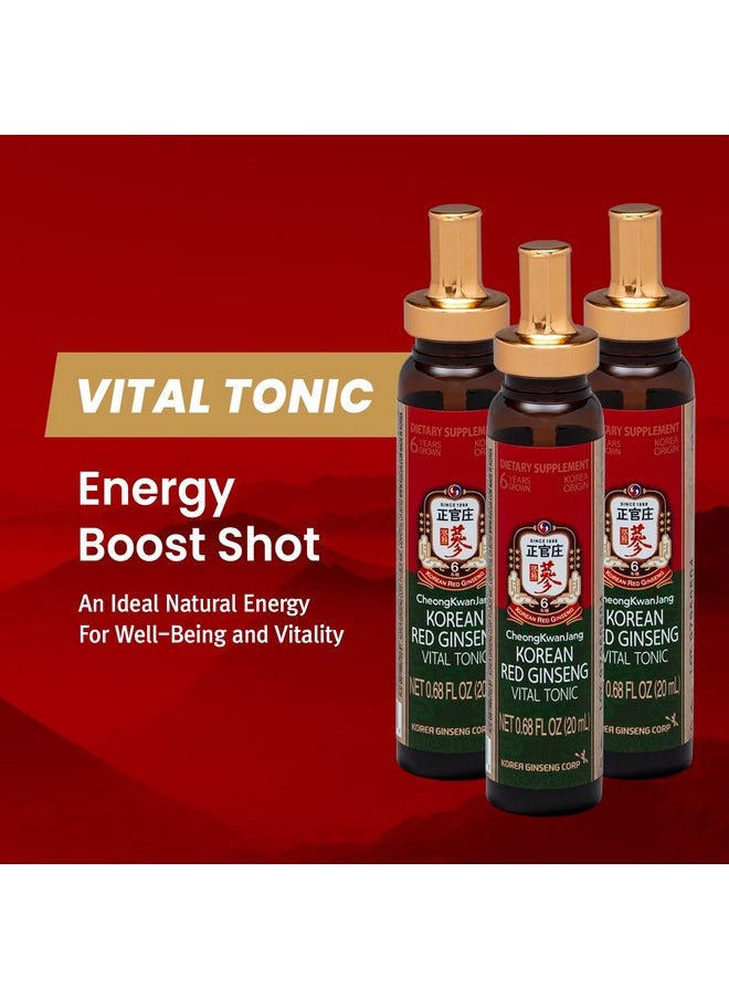 CheongKwanJang - [Korean Red Ginseng Vital Tonic Gift Set Energy Shot Panax Ginseng Giftset For Immune System Booster And Wellness Recovery Natural Herbs Vitamins And Minerals 10 Bottles - Image 1