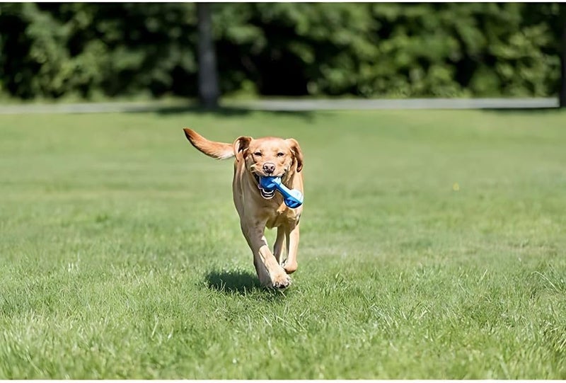 Trixie TPR Cooling Dumbbell Toy for Dogs - Blue - Image 2