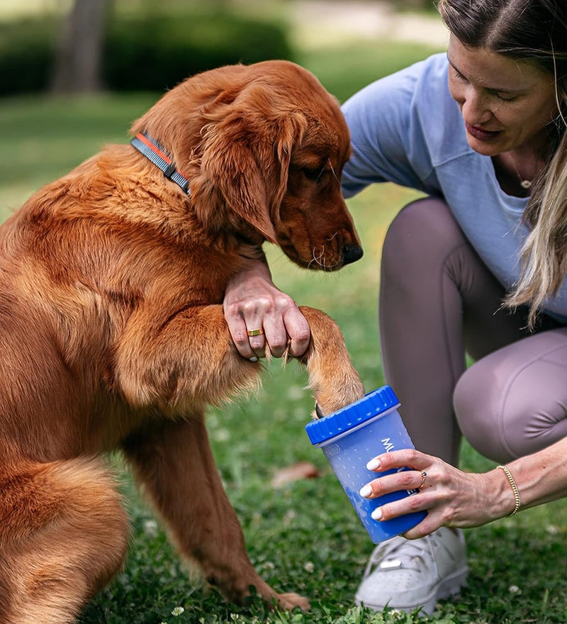 Dexas MudBuster Portable Dog Paw Washer/Paw Cleaner, Medium, Pro Blue, Model:PW7102194 - Image 5