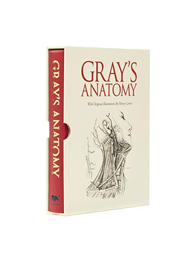 GRAYS ANATOMY