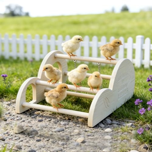 Enrichoice Chicken Perch with Swing Mirror Waterproof PVC Roosting Stand for Hens Activity Gym for Chick Toys Bantams Durable EasyClean Coop and Brooder - Image 3