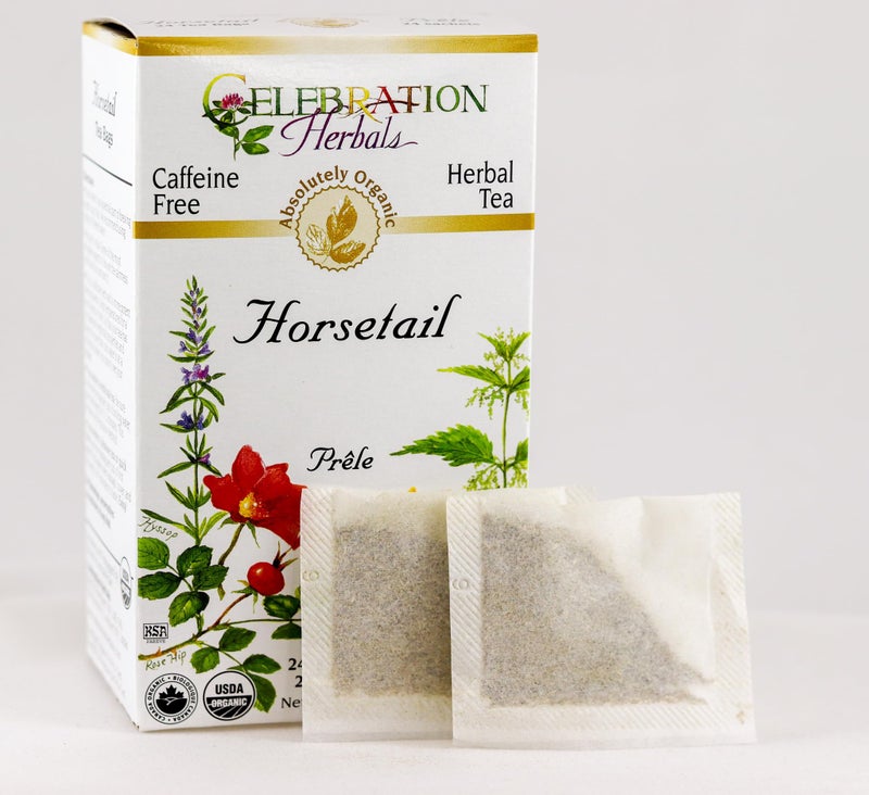 CELEBRATION HERBALS Horsetail Tea Organic 24 Bag, 1.16 0z - Image 2