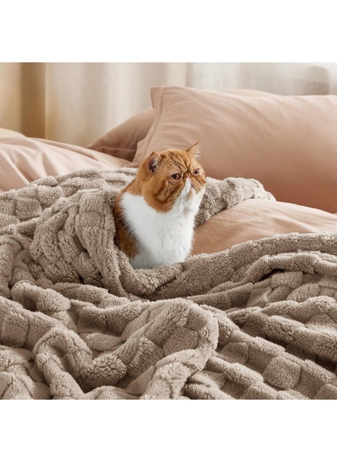 بيد شور بطانية Bedsure Light Taupe Throw Blanket للأريكة - بطانيات ناعمة للغاية ومريحة للنساء، بطانية صوفية صغيرة لطيفة للفتيات، 50 × 60 بوصة  - Image 4