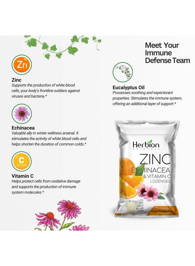 HERBION Naturals Zinc, Echinacea & Vitamin C Lozenges 25 CT - Dietary Supplement for Adults & Children 5+ - Promotes Wellness for The Whole Family (125 Count (Pack of 5), Orange) - Image 3