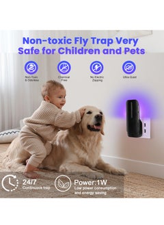 Necomi Fly Trap Indoor, Plug in Flying Insect Trap for Fruit Fly, Gnat, Moth, UV Mosquito Bug Trap Catcher with Night Light, Noiseless and Easy to Use, Ideal for House Bedroom Kitchen(2 Device+ 10 Refills)  - Image 2