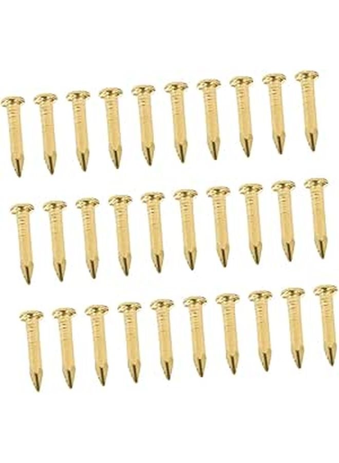 100pcs Copper Nails for Furniture Picture Frame Hanging Hardware Carpentry Projects - Image 1