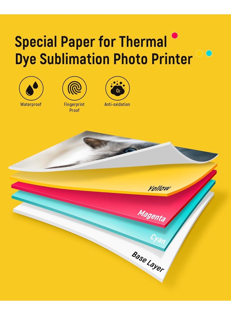 Liene ورق طباعة وصندوق حبر ليني، 2 عبوة حبر و72 ورقة طباعة صور، 4x6"، تقنية صبغ تحت الضغط، مقاوم للماء والأكسدة، متوافق مع طابعة وقاطع ملصقات الصور ليني بيكس كات S1 - Image 5