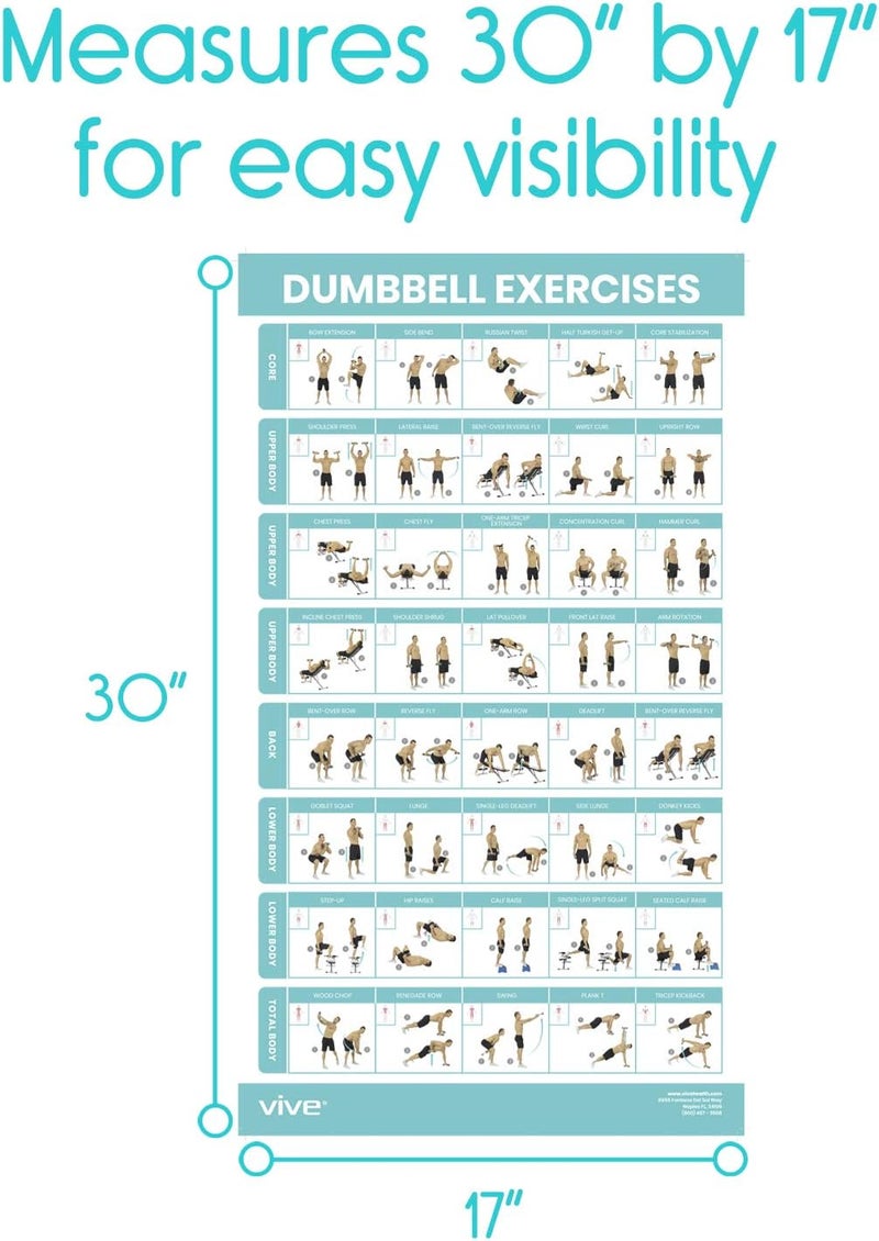 VIVE ملصق تمارين الدمبل - تمارين صالة الألعاب الرياضية المنزلية للجزء العلوي والسفلي والجسم بالكامل - مخطط وزن الجسم المصفح للظهر والذراعين والعضلات الأساسية والساقين - دليل بناء الوزن الحر للرجال والنساء وكبار السن (30" × 17") - Image 4