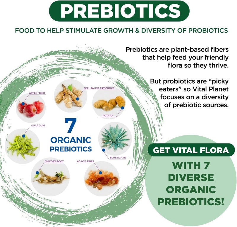Vital Planet  Vital Flora Adults Over 50 Daily Probiotic 60 Billion CFU 60 Diverse Strains 7 Organic Prebiotics Immune Support Gas Digestive Health Probiotics for Women and Men 30 Capsules - Image 5