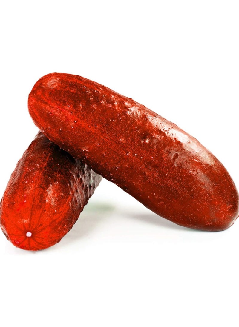 GGOOT 100Pcs Red Cucumber Seeds  - Image 5