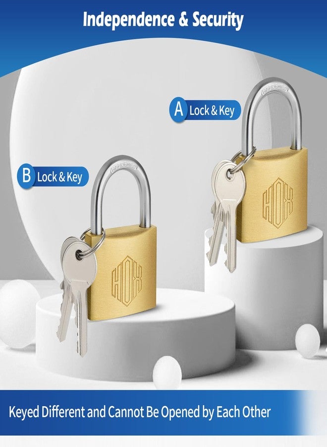 HOX Solid Brass Keyed Different Padlock with 1-9/16-Inch Wide Body, Brass Cylinder - for Hasp Latch, Sheds, Fences, Storage Locker, 12-Pack - Image 3