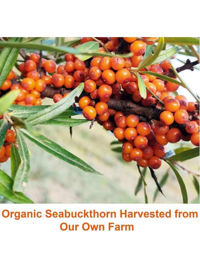 seabuckwonders - SeabuckWonders Sea Buckthorn Seed Oil,100% Certified Organic, 1 FL OZ - Image 1