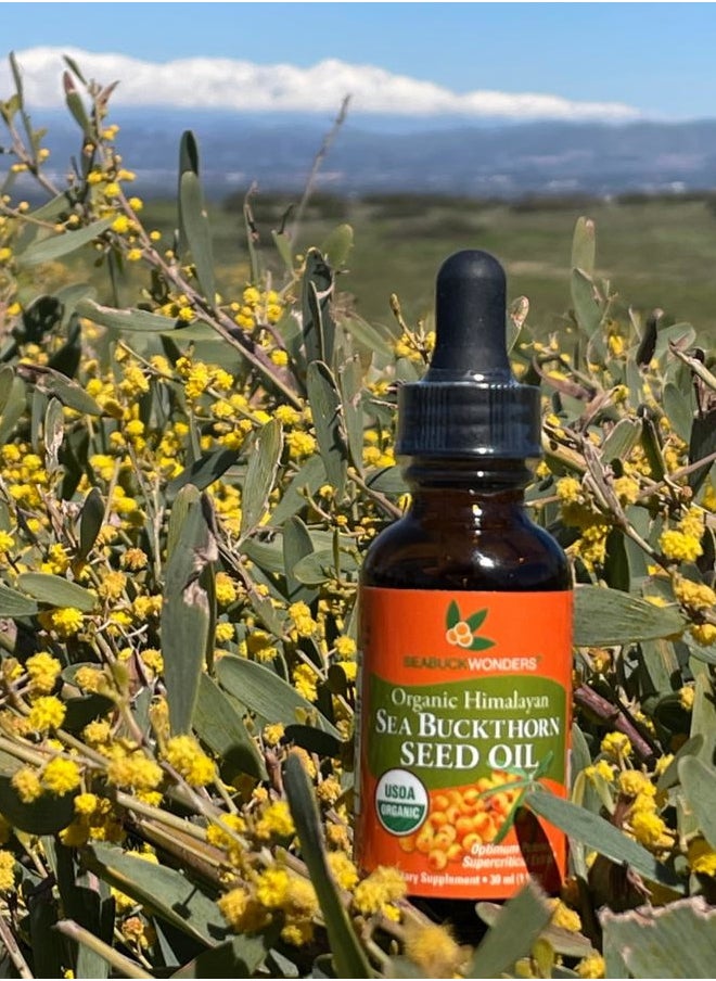 seabuckwonders - SeabuckWonders Sea Buckthorn Seed Oil,100% Certified Organic, 1 FL OZ - Image 1