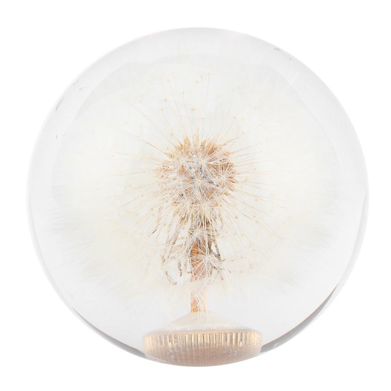 Dandelion Resin Shift Knob Universal Gear Shifter - Real Plant Handball with 3 Adapters for Most Cars - Image 2