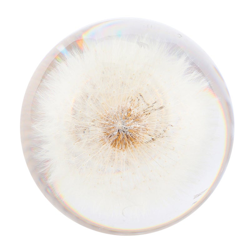 Dandelion Resin Shift Knob Universal Gear Shifter - Real Plant Handball with 3 Adapters for Most Cars - Image 4