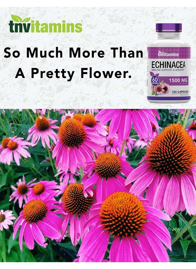 tnvitamins - Echinacea Capsules (1500 Mg X 180 Capsules) ; Supports Health & Wellbeing ; Echinacea Root Herbal Extract Supplement ; Produced In The Usa - Image 1