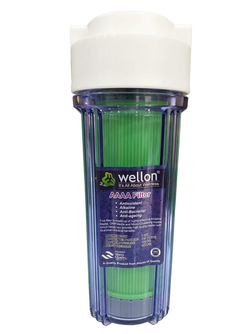 WELLON 10 INCH Clear Pre Housing with AntiOxidant Alkaline GAC Filter for Whole House Water Filtration System Clear housing Alkaline 14 Port Size - Image 1