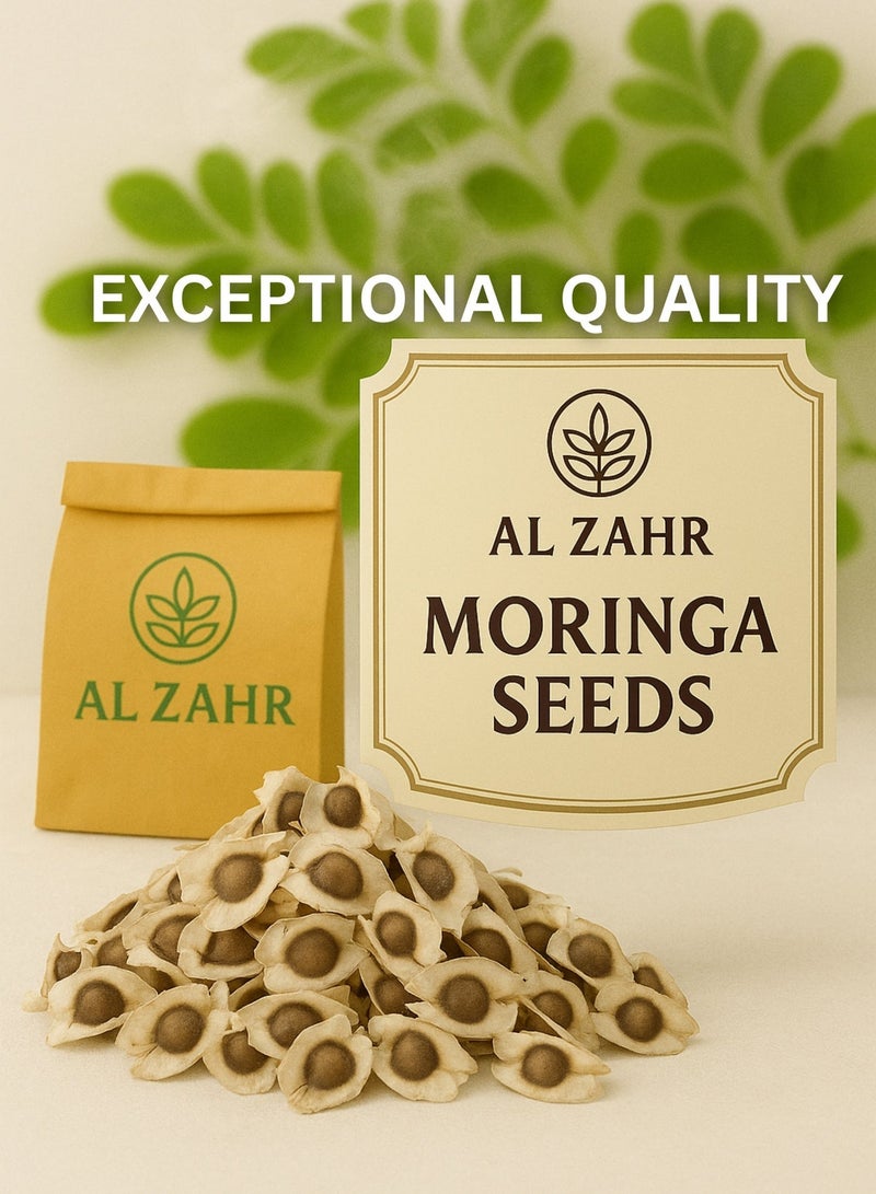 Zahr Organic Moringa Seeds | Premium Quality Superfood | Nutrient-Rich & 100% Natural | Supports Energy, Digestion, & Immunity - Image 2