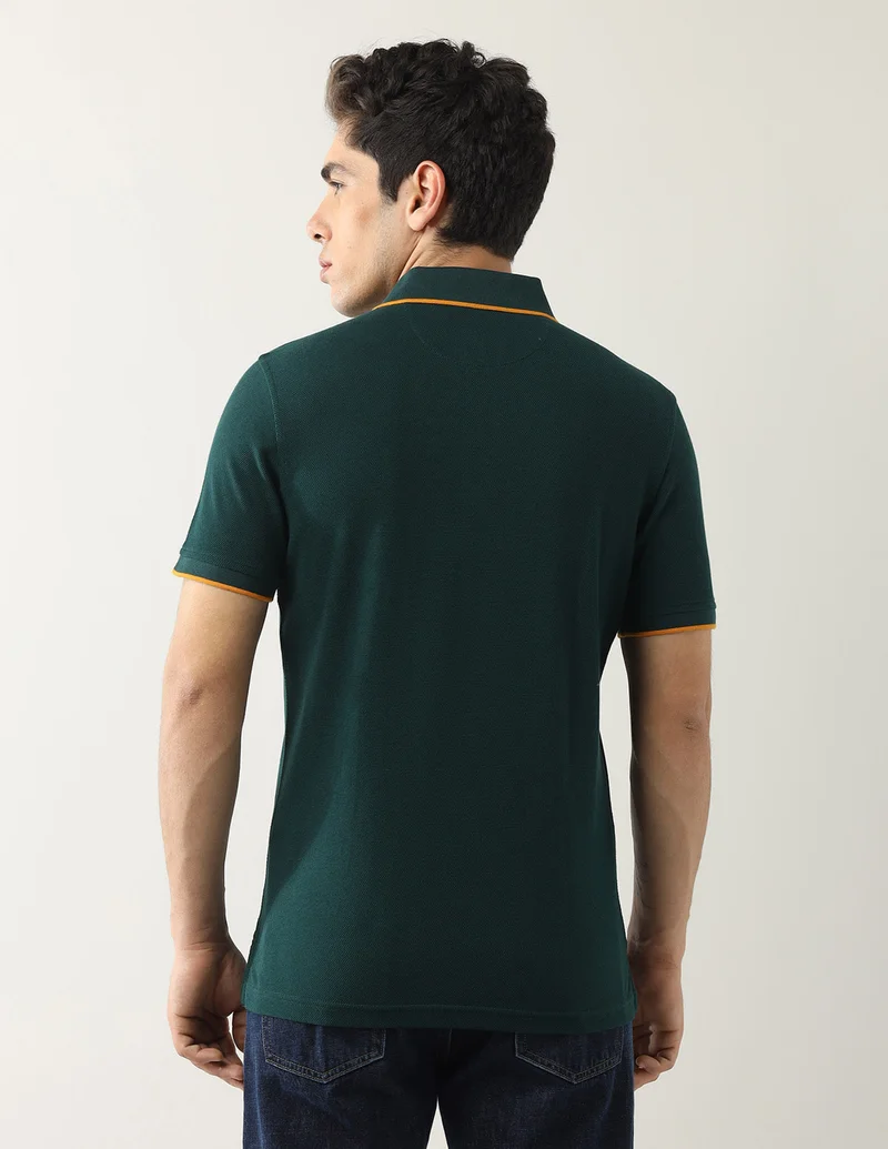 Arrow Dark Green Colourblocked Regular Fit Polo Shirt for Men | Best Price UAE