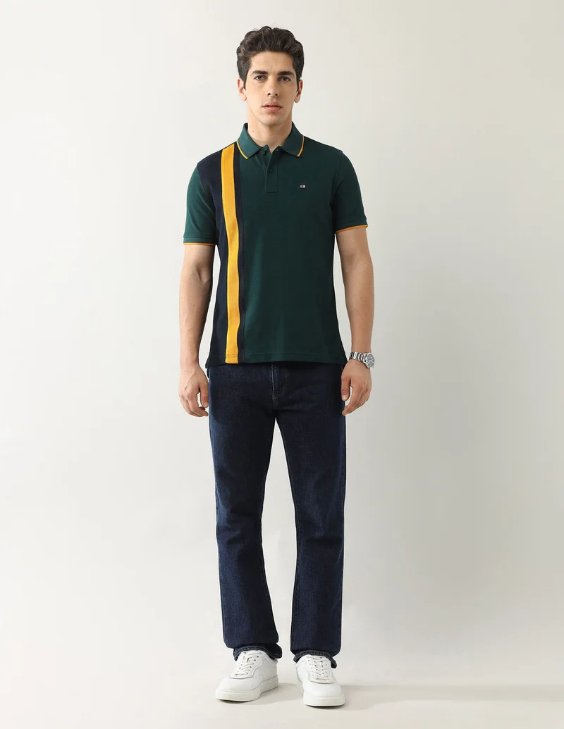Arrow Dark Green Colourblocked Regular Fit Polo Shirt for Men | Best Price UAE