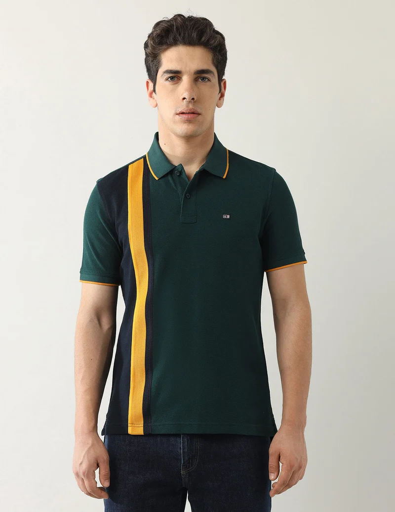Arrow Dark Green Colourblocked Regular Fit Polo Shirt for Men | Best Price UAE