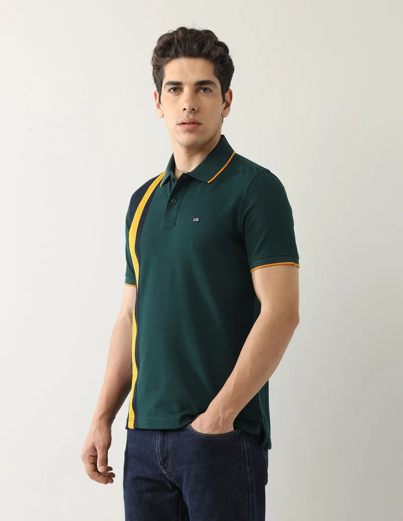 Arrow Dark Green Colourblocked Regular Fit Polo Shirt for Men | Best Price UAE