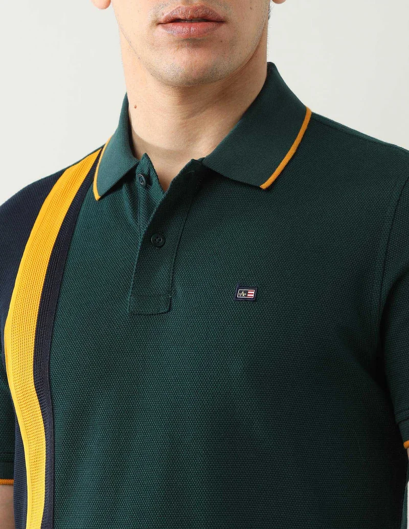 Arrow Dark Green Colourblocked Regular Fit Polo Shirt for Men | Best Price UAE