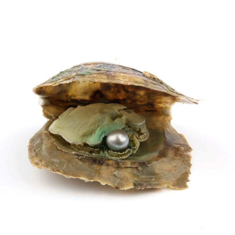 ingsi 4PC Saltwater Love Wish Akoya Pearl Oyster with Pearls Inside (6-8mm, 4PC) - Image 2