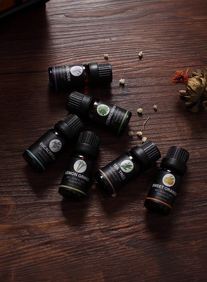 Pack Of 6 Aromatherapy Essential Oils Humidifier Essential Oil Multi Scented Multicolor Gift Set  - Image 4