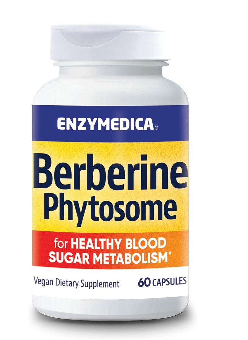 ENZYMEDICA - Enzymedica, Berberine Phytosome, 60 Capsules - Image 1