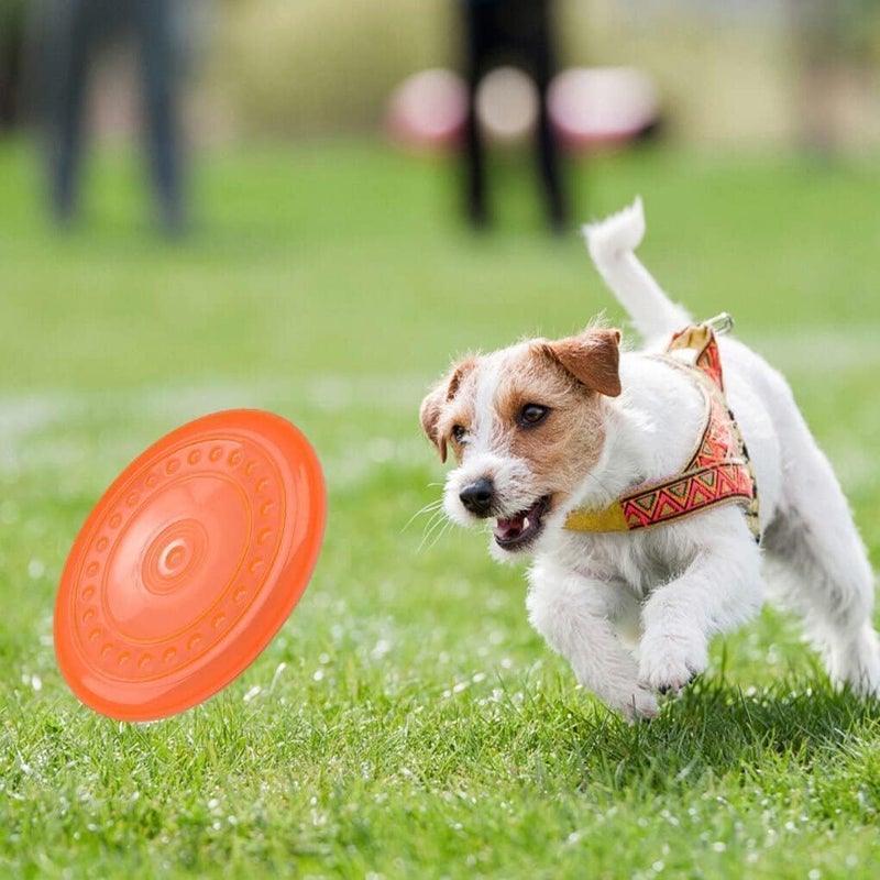 Pups&Pets Dog Toy Frisbee Flying tug Large Size (Color May Vary) - Image 2