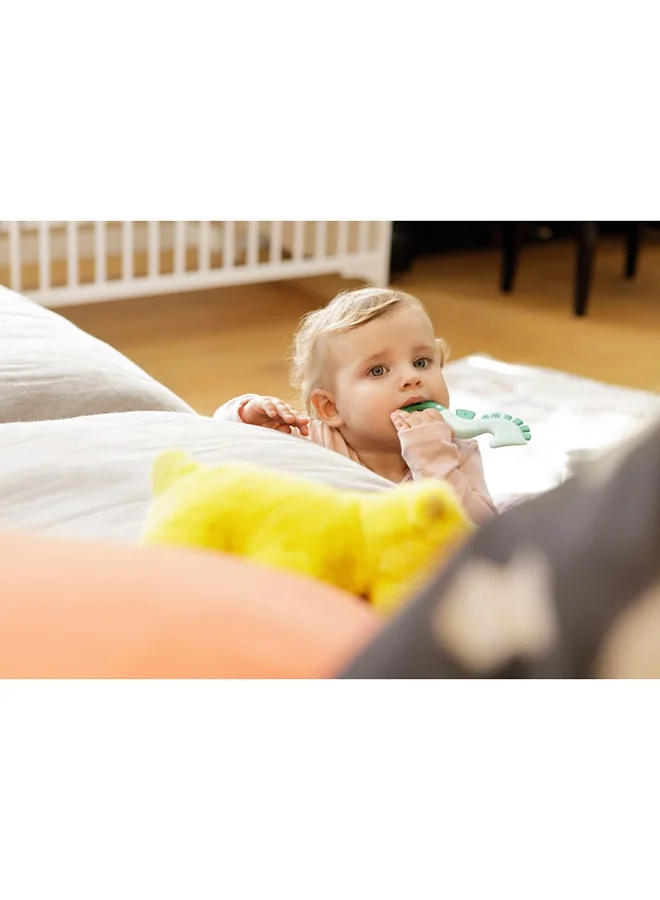 NUK All Stages Seahorse Teether - Assorted