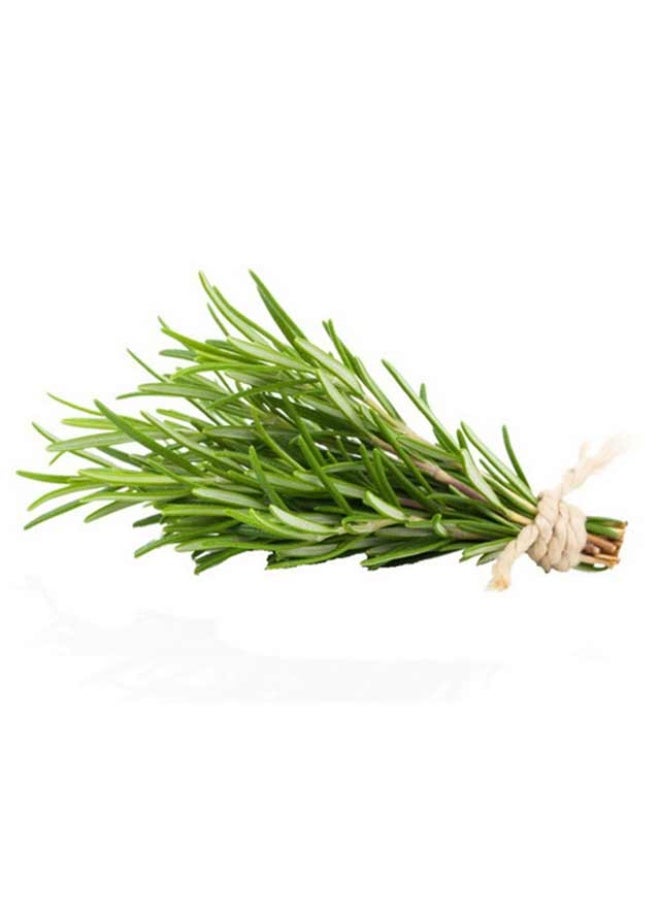 Rosemary, 75g to 100g per bunch, UAE