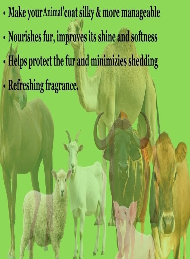 swacch Shampoo Specially Formulated for Cow (5 Litre) Neem Alovera - Image 3